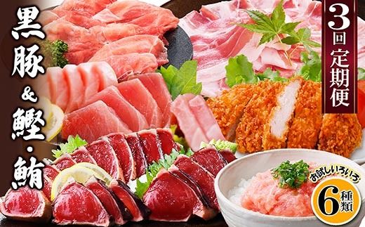 定期便3回配送　黒豚&かつお・まぐろ　QQ-0001 【1512238】