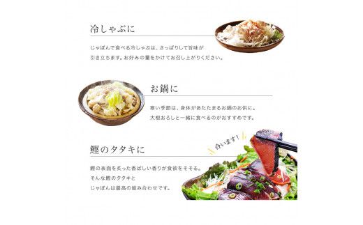 じゃばらポン酢 じゃぽん 360ml×5本セット 邪払 ジャバラ じゃばら ぽん酢 じゃぽん 北山村 / 紀伊国屋文左衛門本舗_V7256