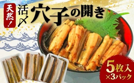 穴子 (5枚入×3パック) 1パック約130g 天然 活〆 穴子開き 国産 煮穴子 白焼き 蒲焼丼 天ぷら 愛知県 南知多町