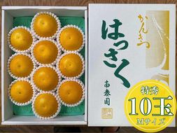 化粧箱 手詰め 有田 はっさく 特秀 M サイズ × 10玉入 南泰園 みかん BS706