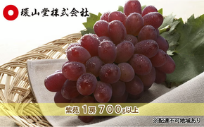 ぶどう 2026年先行予約 冬ぶどう 紫苑 1房 700g以上 岡山 環山堂 果物 フルーツ ワインレッド 上品 大粒 柔らかい 種なし 皮離れ 食べやすい 贈り物 ギフト [№5735-1431]