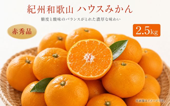 赤秀品　紀州和歌山ハウスみかん2.5kg【予約】※2027年6月末頃〜7月中旬頃に順次発送予定(お届け日指定不可)【uot735B】