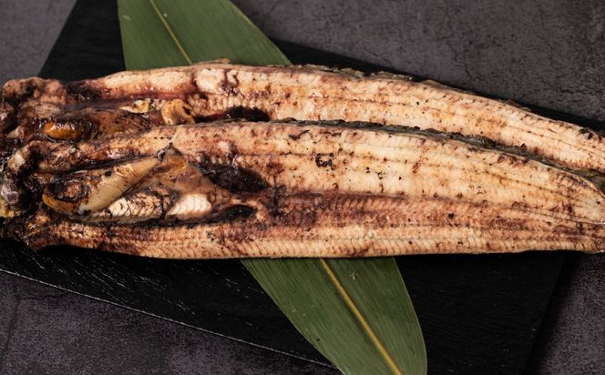 熊本県八代市産 天然うなぎ 白焼 (中) 2尾 合計300g前後 蒲焼のたれ付き 鰻 国産 蒲焼 ウナギ うなぎ 丑の日 冬が旬 冷凍 熊本県 八代市