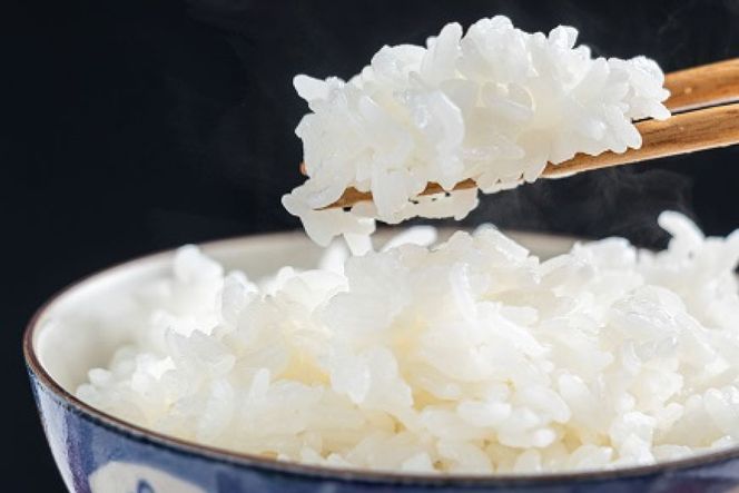 CA053 特別栽培米ながさきにこまる・押麦セット[ 白米 精米 ごはん ご飯 こめ おこめ もちもち おにぎり 粘り おいしい 長崎県産 長崎県産米 長崎にこまる 長崎県 島原市 ]