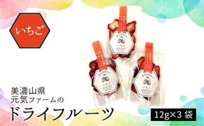 美濃山県元気ファームのドライフルーツかじゅえりー　いちご  [No.1102]