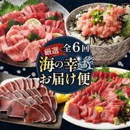 【全6回定期便】タカシン水産厳選 高知の海鮮セット 定期便 福袋 海鮮 詰め合わせ タタキ まぐろ マグロ 本まぐろ ネギトロ かつお カツオ 鰹 かつおのたたき カツオのタタキ タタキ 魚介 高知 室戸 all