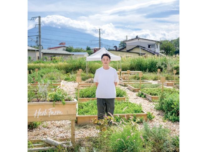ハーブティーセット(ミント&レモン・シトラス&カモミール) 　ティーバッグ40個×2種 ハーブティー ティーバッグ 柑橘系ハーブ ミント カモミール ハーブ ノンカフェイン SDGs 山梨 富士吉田