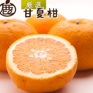 厳選 甘夏柑 1kg+250g（傷み補償分）【初夏のみかん・旬の果物】【有田産】【光センサー食べ頃出荷】 ［IKE278］ 303446_BB90187
