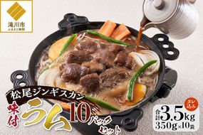 【松尾ジンギスカン】くせが少なく食べやすい味付ラム肉10パックセット 北海道 ソウルフード 成吉思汗 BBQ 肉 焼き肉 焼肉 バーべキュー ラム マトン ラム肉 羊 羊肉 ジンギスカン タレ 味付 個包装 冷凍 おすすめ
