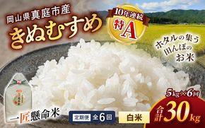 ＜定期便 全6回＞令和8年産 真庭市産きぬむすめ 白米 5kg×6回 / お米 国産 岡山県 米 人気 ブランド 2026年産 【tkns-tkb014】