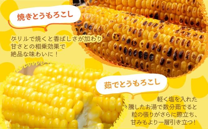 やまけんや とうもろこし 恵味ゴールド 10本 スイートコーン コーン 甘い サラダ スープ 生でも美味しい 産地直送 BBQ とうきび 国産 人気 バーベキュー 焼きとうもろこし 取り寄せ 糖度 北海道 伊達市
