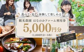 「観光農園はなのかファーム」利用券5枚綴り ｜ チケット 体験チケット いちご狩り カフェ お出かけ 休日 ※離島への配送不可