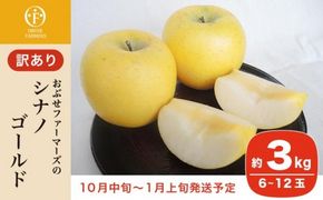 【訳あり】 シナノゴールド 約3kg 6～12玉 ［おぶせファーマーズ］ 不揃い 規格外 家庭用 果物 フルーツ りんご 林檎 リンゴ 長野県産 信州産 令和7年産 【2025年10月中旬〜2026年1月上旬発送】 ［FH-53］