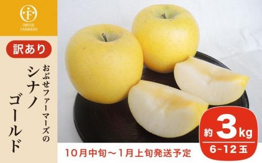 【訳あり】 シナノゴールド 約3kg 6～12玉 ［おぶせファーマーズ］ 不揃い 規格外 家庭用 果物 フルーツ りんご 林檎 リンゴ 長野県産 信州産 令和7年産 【2025年10月中旬〜2026年1月上旬発送】 ［FH-53］