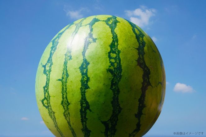 AJ643 【令和8年度出荷分】 島原スイカ倶楽部 大玉スイカ 羅皇ザ・スウィート 3Lサイズ 8〜10kg [ 先行予約 数量限定 すいか スイカ 西瓜 フルーツ 果物 長崎 長崎県 島原市 ]