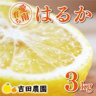 数量限定 順次発送 はるか 3kg 7000円 みかん mikan 蜜柑 ミカン 国産 産地直送 農家直送 期間限定 特産品 ゼリー ジュース アイス 等に 人気 限定 フルーツ 果物 柑橘 甘い おいしい ジューシー お取り寄せ ギフト プレゼント サイズ ミックス 愛南町 愛媛県 吉田農園