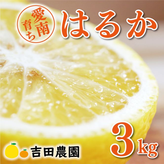 数量限定 順次発送 はるか 3kg 7000円 みかん mikan 蜜柑 ミカン 国産 産地直送 農家直送 期間限定 特産品 ゼリー ジュース アイス 等に 人気 限定 フルーツ 果物 柑橘 甘い おいしい ジューシー お取り寄せ ギフト プレゼント サイズ ミックス 愛南町 愛媛県 吉田農園