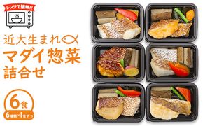 レンジで簡単！近大生まれマダイ惣菜詰合せ（6食） ｜ 真鯛 焼き魚 煮付け セット おそうざい