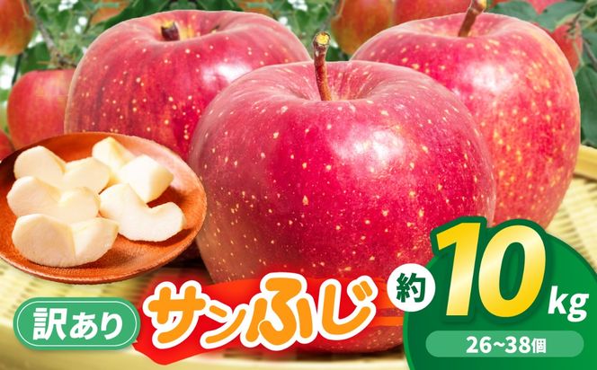 りんご 先行予約 伊那市田原産 リンゴ サンふじ 訳あり 約10kg 2026年11月中旬～発送｜りんご サンふじ 甘い 訳あり品 美味しい フルーツ 田原 伊那 伊那産 長野県 ふるさと納税【017-24】