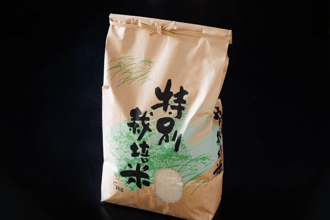 【令和7年度】 料理旅館きぐすりや 特別栽培米 キヌヒカリ 5kg 精米 白米 お米 こめ コメ 減農薬栽培 5 キロ ご飯 ごはん 京都　※9月下旬より順次発送 