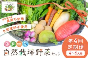 【年4回定期便】春夏秋冬自然栽培野菜セット(年4回)4～5人用　AB00002