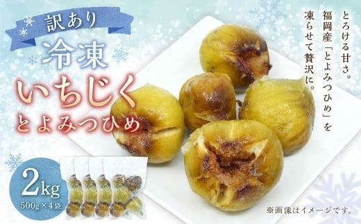 訳あり 冷凍 いちじく 「とよみつひめ」 2kg 冷凍 いちじく イチジク フルーツ 果物 くだもの シャーベット コンポート パンケーキ 加工 真空パック