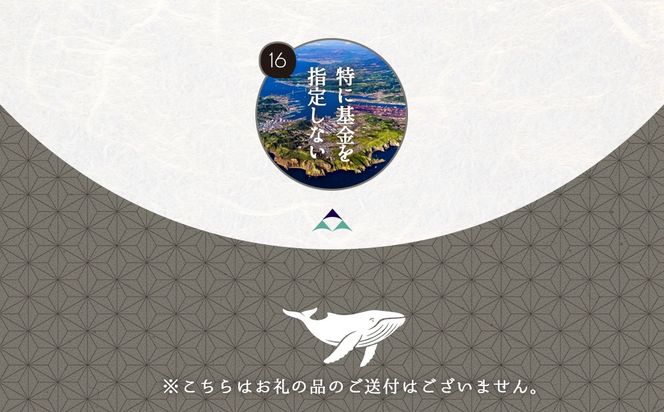 【返礼品なし】北海道室蘭市・応援寄附10,000円（寄附のみの応援受付 ※返礼品はございません） MROBR006