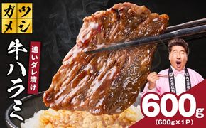 G4017 ガツめし牛ハラミ 600g 追いダレ漬け【焼肉 はらみ ハラミ 牛肉 訳あり サイズ不揃い】