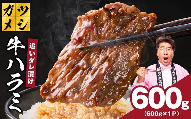 G4017 ガツめし牛ハラミ 600g 追いダレ漬け【焼肉 はらみ ハラミ 牛肉 訳あり サイズ不揃い】