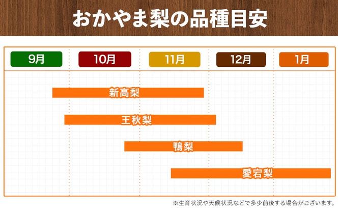 【先行予約】秀品 岡山県産 旬の 梨 約4kg 3-10玉前後 梨 秀品 新高 愛宕 スイーツ フルーツ デザート 旬 岡山県 笠岡市《9月上旬-1月末頃に出荷予定》---kasaoka_zsy_48_40---