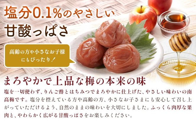 塩零梅 梅干し 紀州南高梅 食塩不使用 有限会社プラム 選べる内容量 600g 900g《30日以内に出荷予定(土日祝除く)》和歌山県 日高川町 送料無料 梅 うめ ウメ 南高梅 紀州 送料無料---wshg_plma6_30d_23_10000_600g---