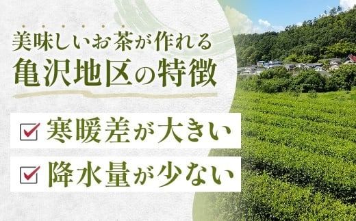 村茶季園　すっきり煎茶　ティーバッグ8袋入り　CS-1　農薬不使用　化学肥料不使用