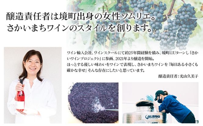 【訳あり】ワイン スパークリングワイン マンダリン2本セット 750ml 辛口 酒 みかん ギフト 母の日 父の日 プレゼント クラフト K2707