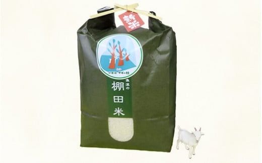 【早期予約】米 令和7年産 コシヒカリ 5kg 無洗米 棚田米 ヤギの杜｜富山 こめ コメ お米 おこめ 白米 精米 新米 ※北海道・沖縄・離島への配送不可 ※2025年10月上旬頃より順次発送予定