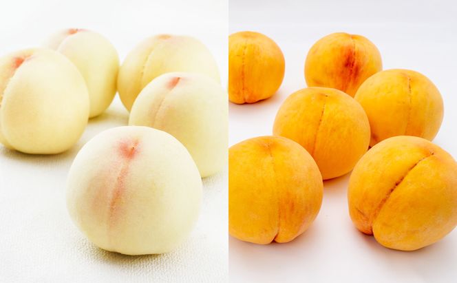 フルーツ 定期便 2026年 先行予約 岡山 の 桃 食べ比べ 定期便 3回コース もも モモ 岡山県産 国産 フルーツ 果物 セット ギフト 