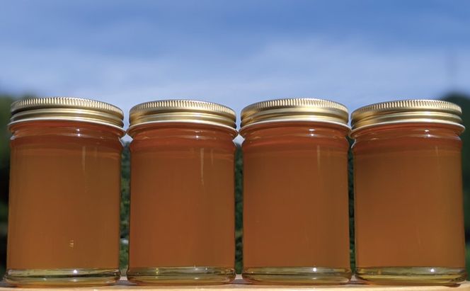 合計920g 天然蜂蜜 国産蜂蜜 非加熱 生はちみつ 岐阜県 美濃市産 春 (蜂蜜230g入りガラス瓶4本)A4 深田養蜂のハチミツ