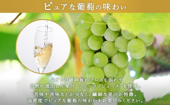 北海道産 スパークリング ワイン 750ml 2本 KPワイン Sテロワール ぶどう ナイアガラ 葡萄 ブドウ 白ワイン 辛口 酒 お酒 贈答 贈り物 お祝い ギフト 記念日 送料無料 