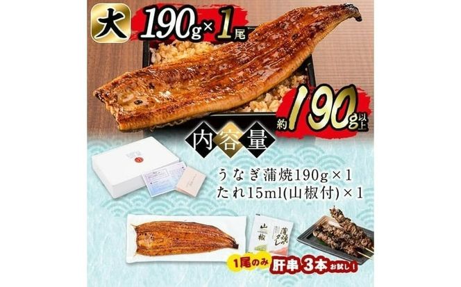 【志布志市制20周年記念】＜期間限定規格＞日ノ本一の鰻の蒲焼き＜大＞1尾(約190g以上) a2-116-sbs