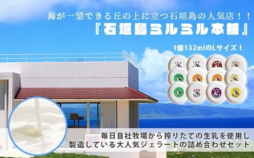 石垣島ミルミル本舗 南の島から島素材ジェラート！【沖縄セット 12個入り】（1個 132ml）　Z-6　【石垣島 石垣市 沖縄県石垣市 セット ジェラート 石垣島産 八重山】