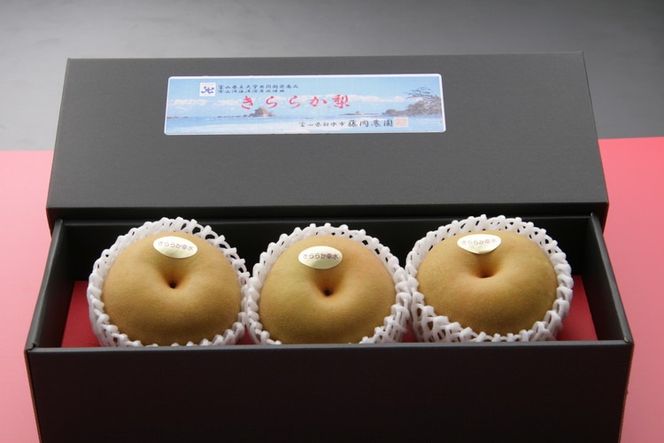 冬に味わう！藤岡さんが作った氷温保存きららか梨 3玉入り ｜ 梨 ナシ 果物 フルーツ　※2025年11月下旬～2026年4月上旬頃に順次発送予定　※離島への配送不可
