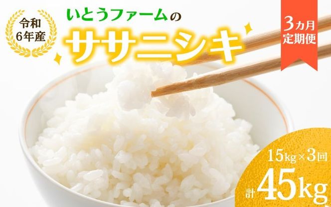 【3ヶ月定期便】いとうファームの 令和6年産「ササニシキ」15kg×3回 計15㎏ / 米 お米 精米 白米 ご飯 米定期便 産地直送