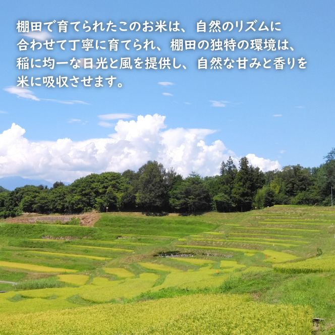 【定期便】健幸農園の棚田米 10kg×3ヵ月セット 白米