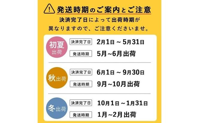 【期間限定・数量限定】鹿児島県志布志産 摘果メロン(子メロン・小メロン) 2kg a0-330
