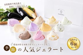 ジェラート セット 6個 2月発送 13000円 / キミノ―カ アイス クリーム スイーツ 野菜 果物【kmk105-feb-6】