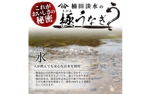 楠田の極うなぎ蒲焼130g以上×2尾・白焼130g以上×2尾(計520g以上) b3-014