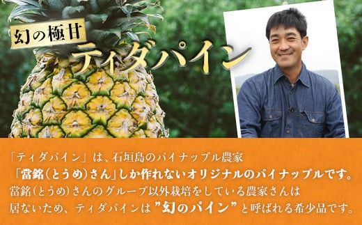 《2025年6月上旬頃より順次発送》[予約受付]　當銘さんの完熟カットパイン1.25kg(250g×5袋)　 YK-4