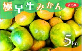 【2026年秋頃発送予約分】【訳あり】こだわりの極早生みかん 約5kg ※2026年10月～11月に順次発送予定（お届け日指定不可） 有機質肥料100% サイズ混合 有田産【nuk165B】