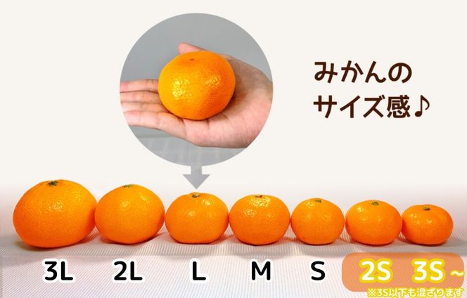 ［先行予約］熟成 みかん とにかく 小玉 箱込2.5kg ( 内容量 2.3kg ) 2Sサイズ以下 秀品 優品 混合 有田みかん 和歌山産 産地直送 家庭用 【みかんの会】 AX376
