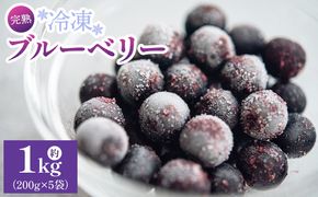 完熟 冷凍ブルーベリー 約1kg(200g×5袋) - フルーツ 果物 くだもの おやつ スイーツ デザート スムージー ヨーグルト ジャム 国産 高知県産 柳本果樹園 高知県 香南市 冷凍 yg-0028