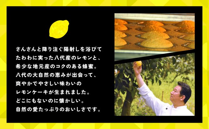 レモンケーキ 10個入 レモン 檸檬 お菓子 焼き菓子 洋菓子 スイーツ デザート ギフト 熊本県 八代市